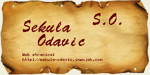 Sekula Odavić vizit kartica